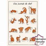 Suspension Plante Cache Pot Chat